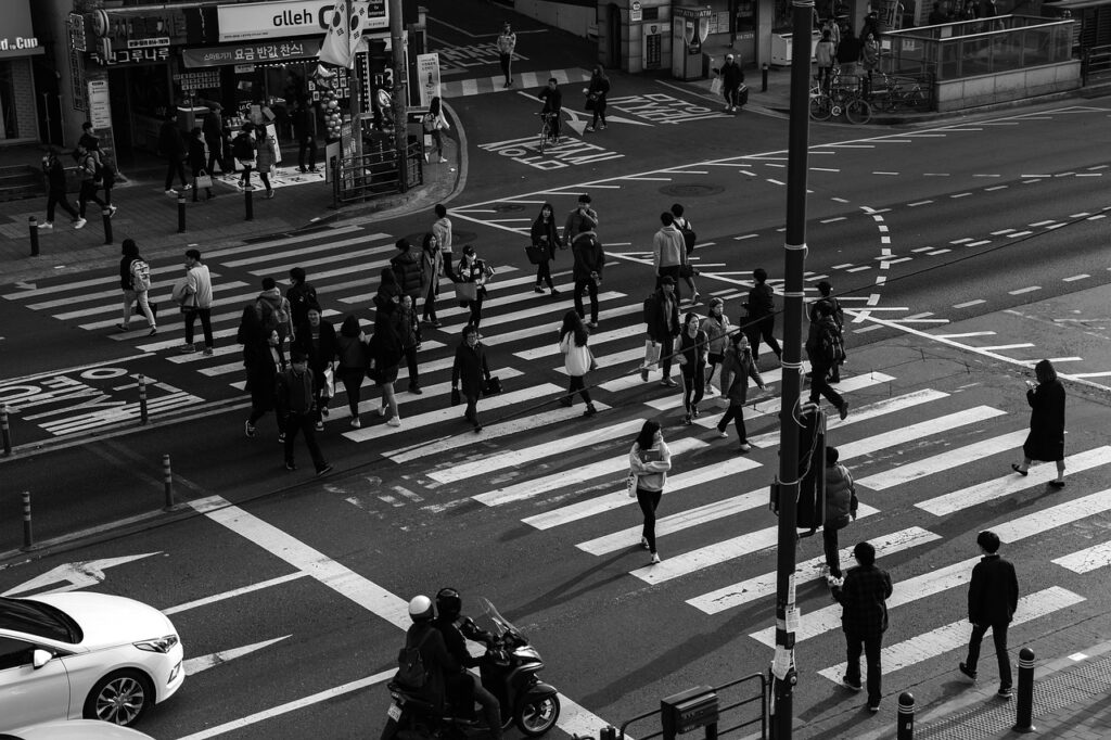 traffic light, crosswalk, people, intersection, noryangjin, set, student, crossing, busyness, daily life, gray-scale, street, road, crosswalk, crosswalk, crosswalk, crosswalk, intersection, daily life, daily life, daily life, daily life, daily life